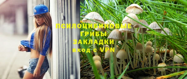 дурь Нефтекумск
