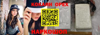 шишки Берёзовский