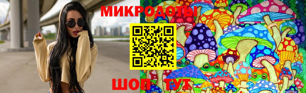 Псилоцибиновые грибы мицелий Ейск