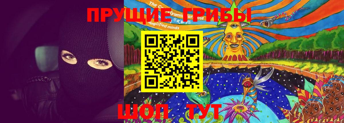 Галлюциногенные грибы прущие грибы  купить наркотик  Ейск  Псилоцибиновые грибы мицелий 